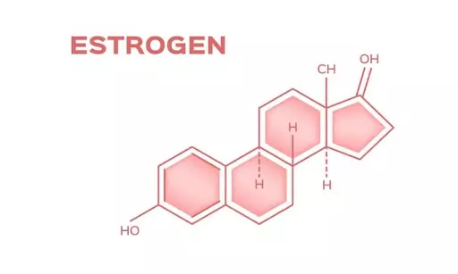 Tổng hợp toàn bộ thông tin bạn cần biết về hormone estrogen